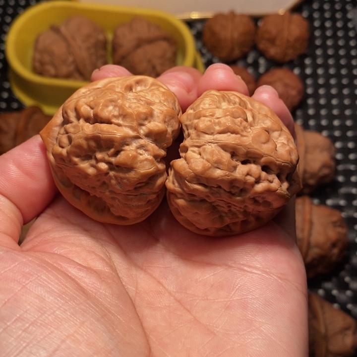 把件文玩核桃三角箭毒蛙王