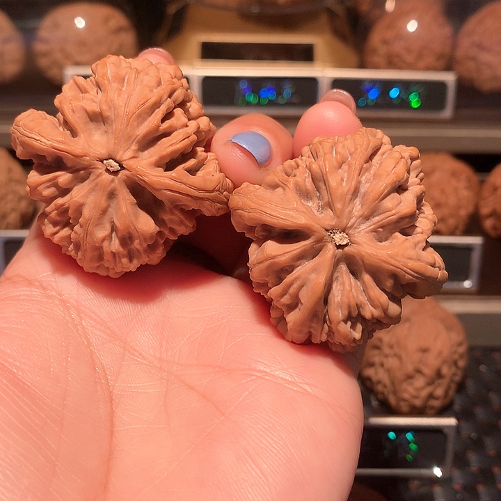 自*会文玩核桃把件虎头王