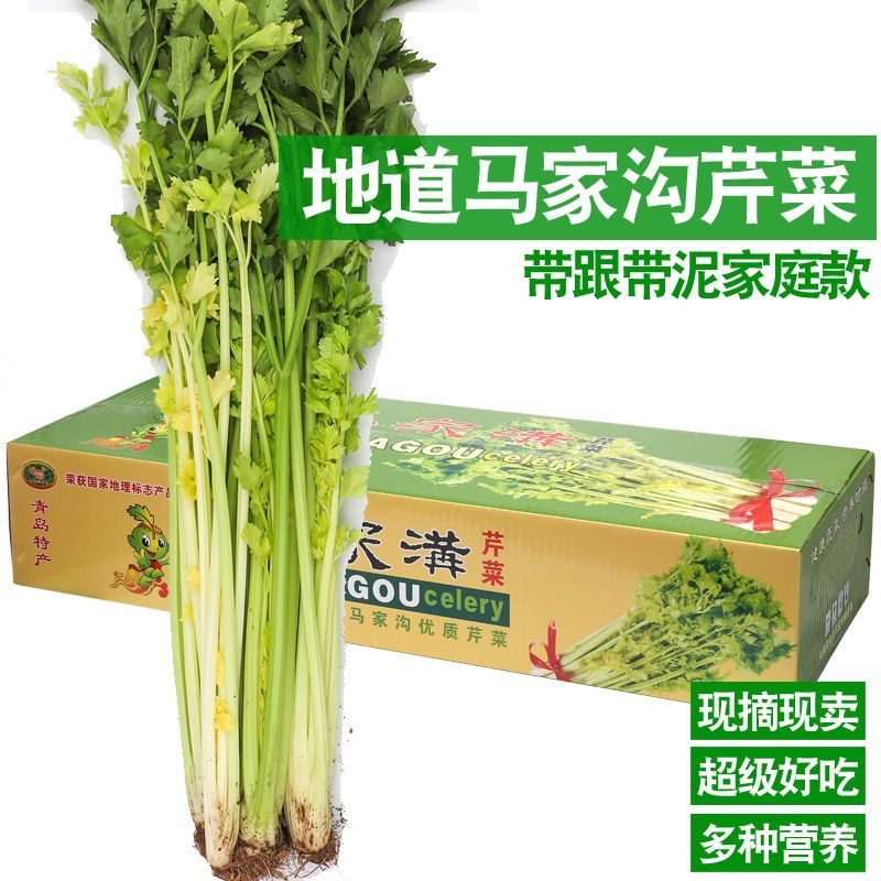 Y【半根包邮】山东特产空心芹菜马家沟芹菜凉拌芹菜美味健康大叶芹玻璃脆蔬菜芹菜芹菜