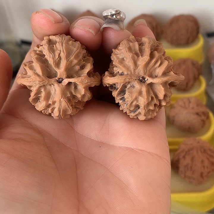 木***川文玩核桃吊坠苹果园