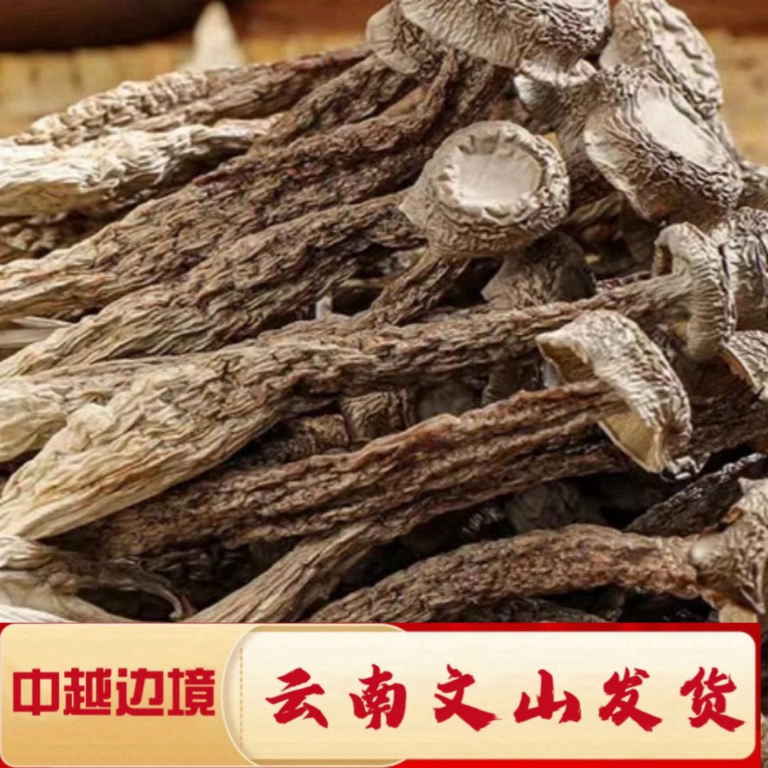 【村长严选】源自农家——鹿茸菇