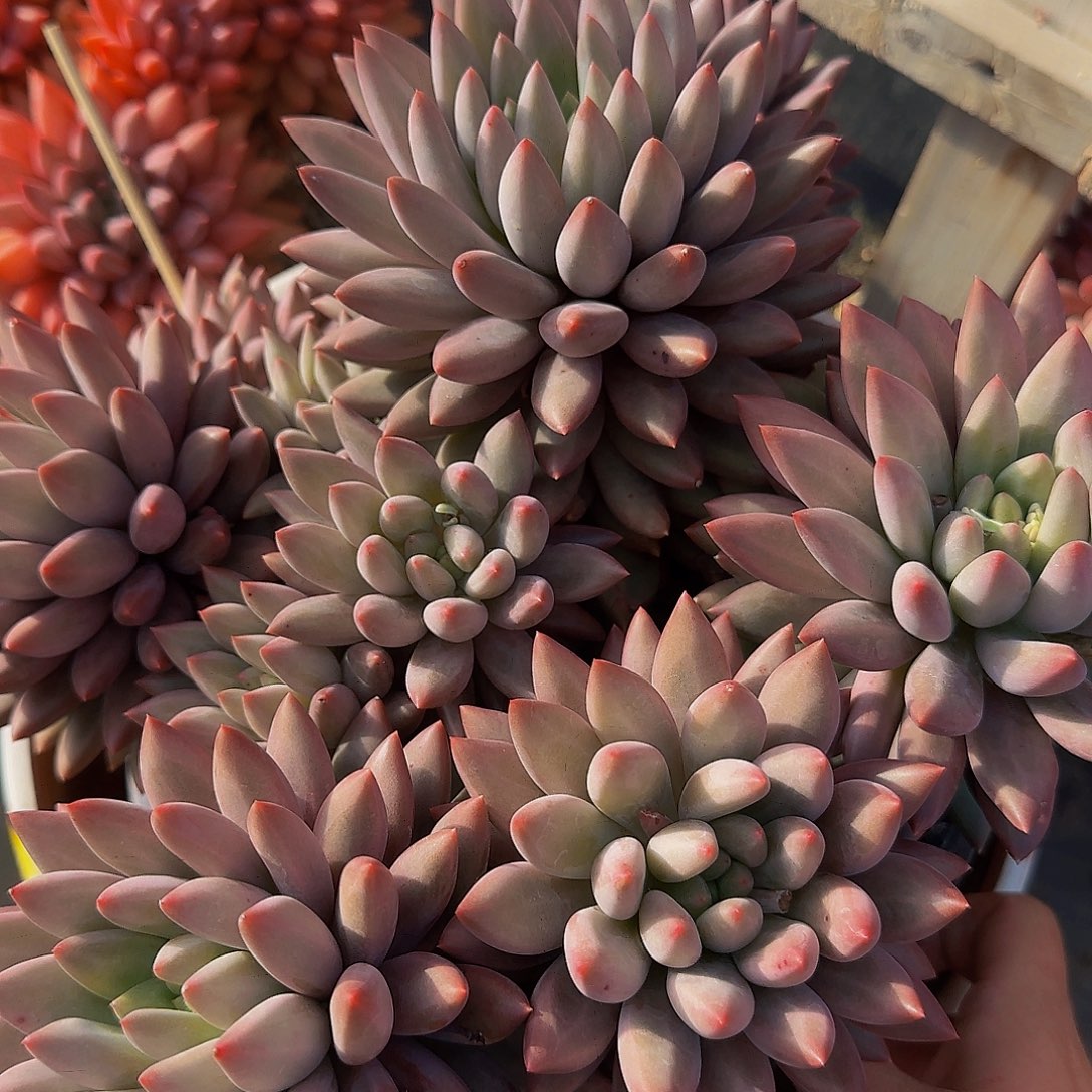 水***8啊啦啦啦啦啦啦咯哦嘛lkklooma