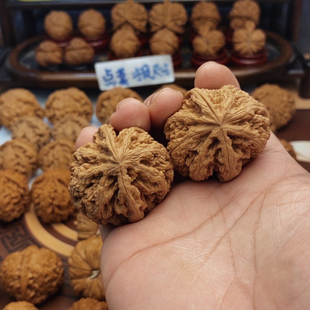 文玩核桃把件全品粗筋鹰嘴 5