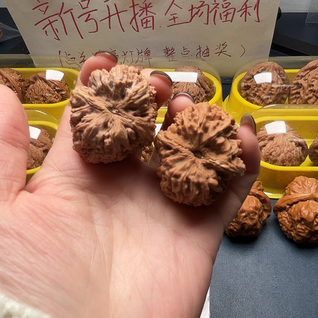 核桃35尺寸大蒜头