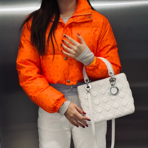 95新 DIOR/迪奥 dior五格戴妃包