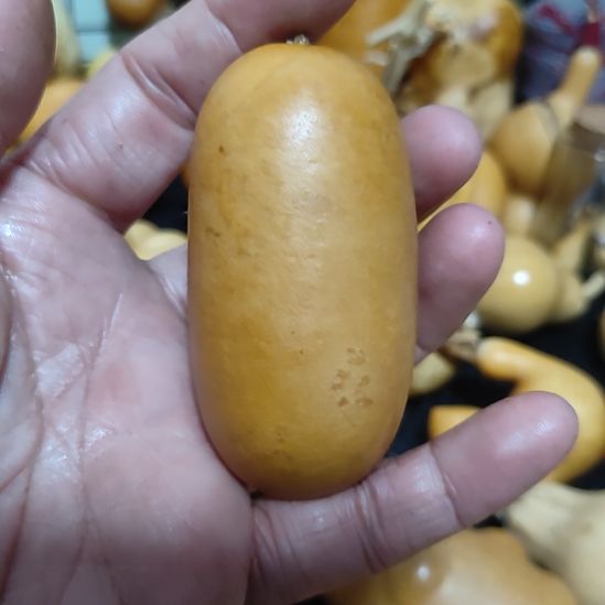 8***9回来哈哈哈哈哈哈哈