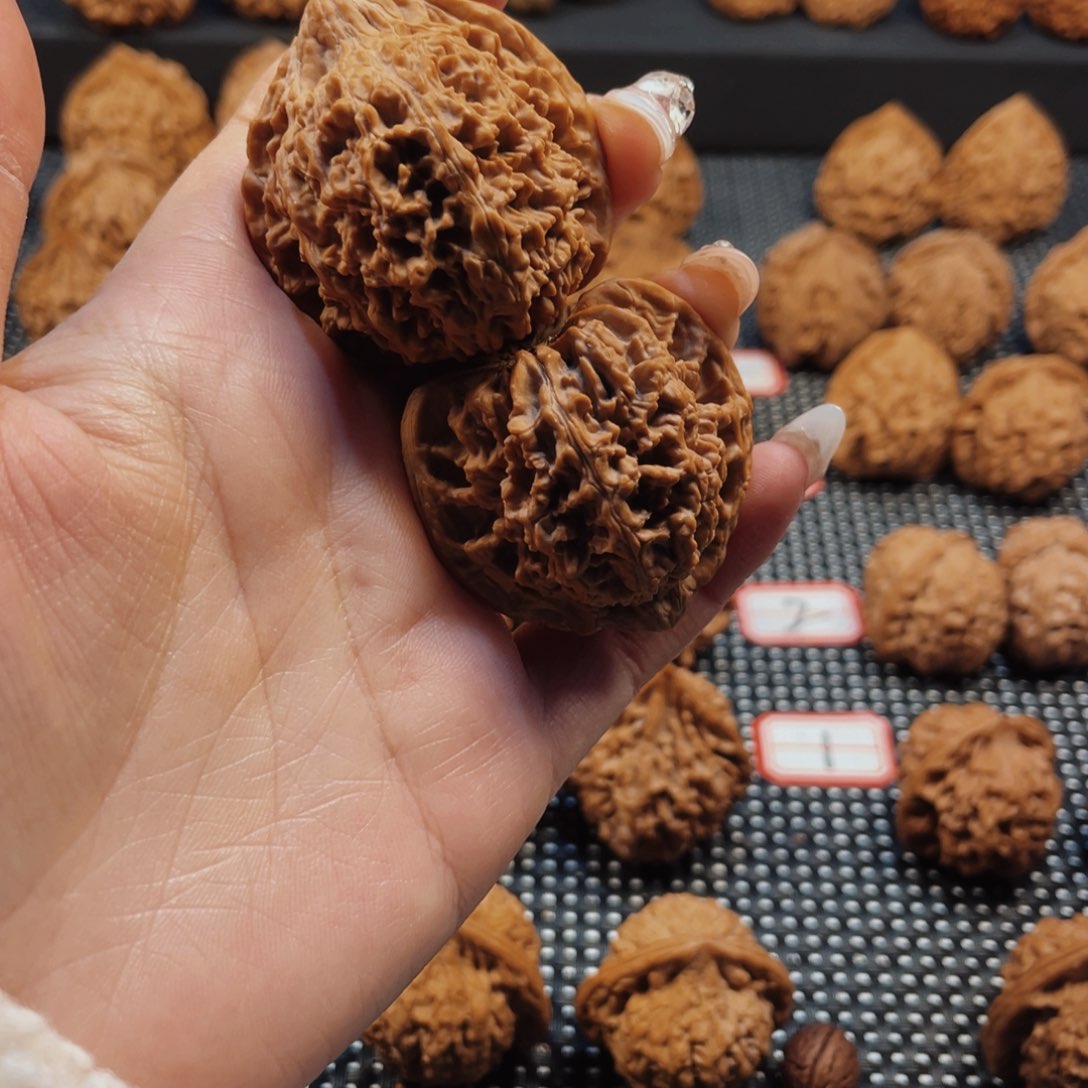 聪**塔秦岭知识分子工作对象