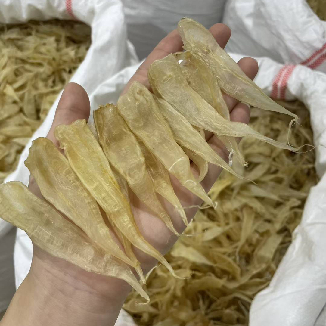 460头深海豆仁公胶小孩子滋补口粮胶炖汤炖奶煲粥佳选