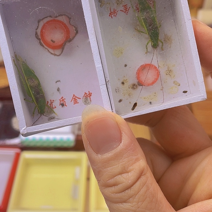 鹨***金钟随单2啊啊啊啊