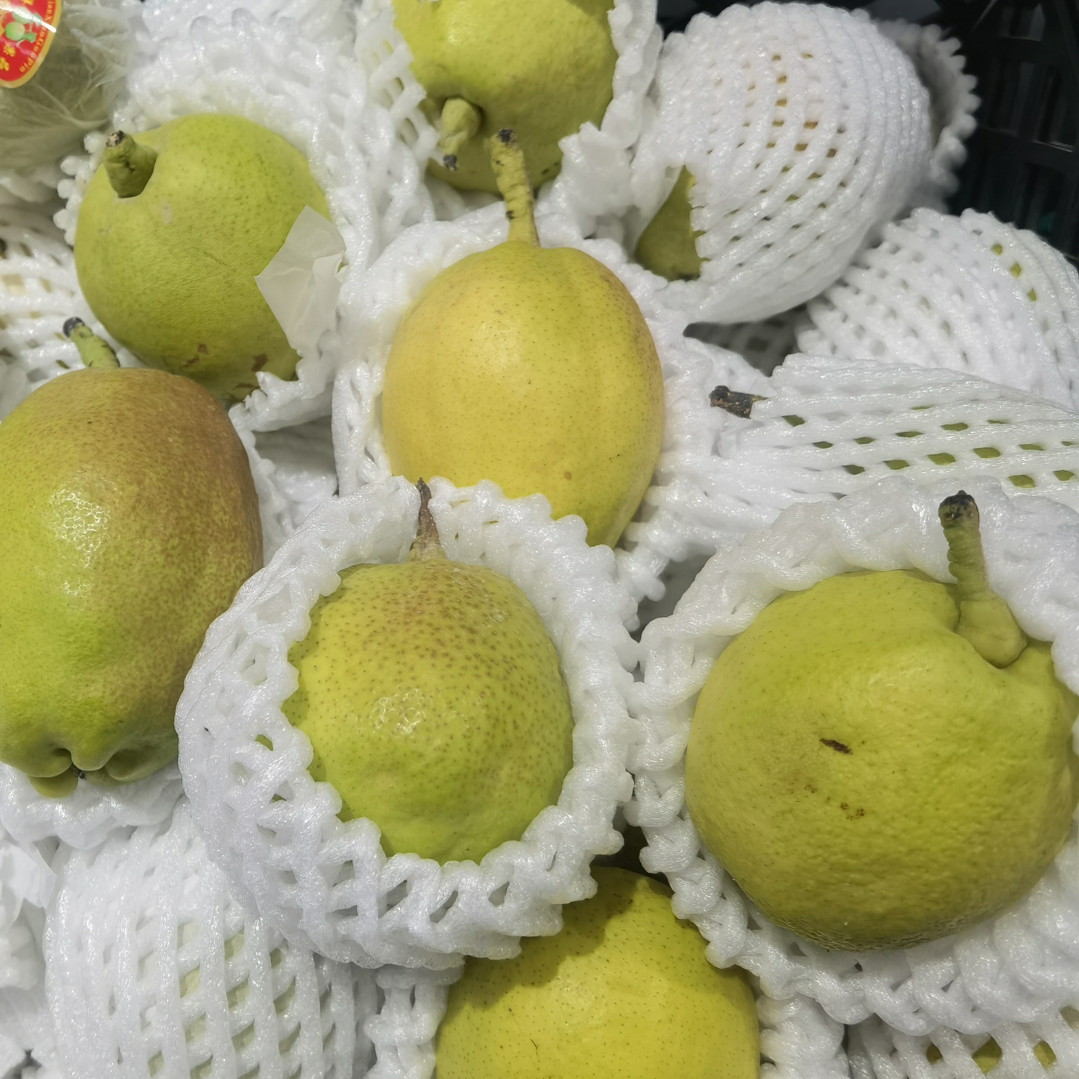 【女神节特惠】库尔勒梨三斤＋沙糖桔三斤＋普罗旺斯西红柿四斤