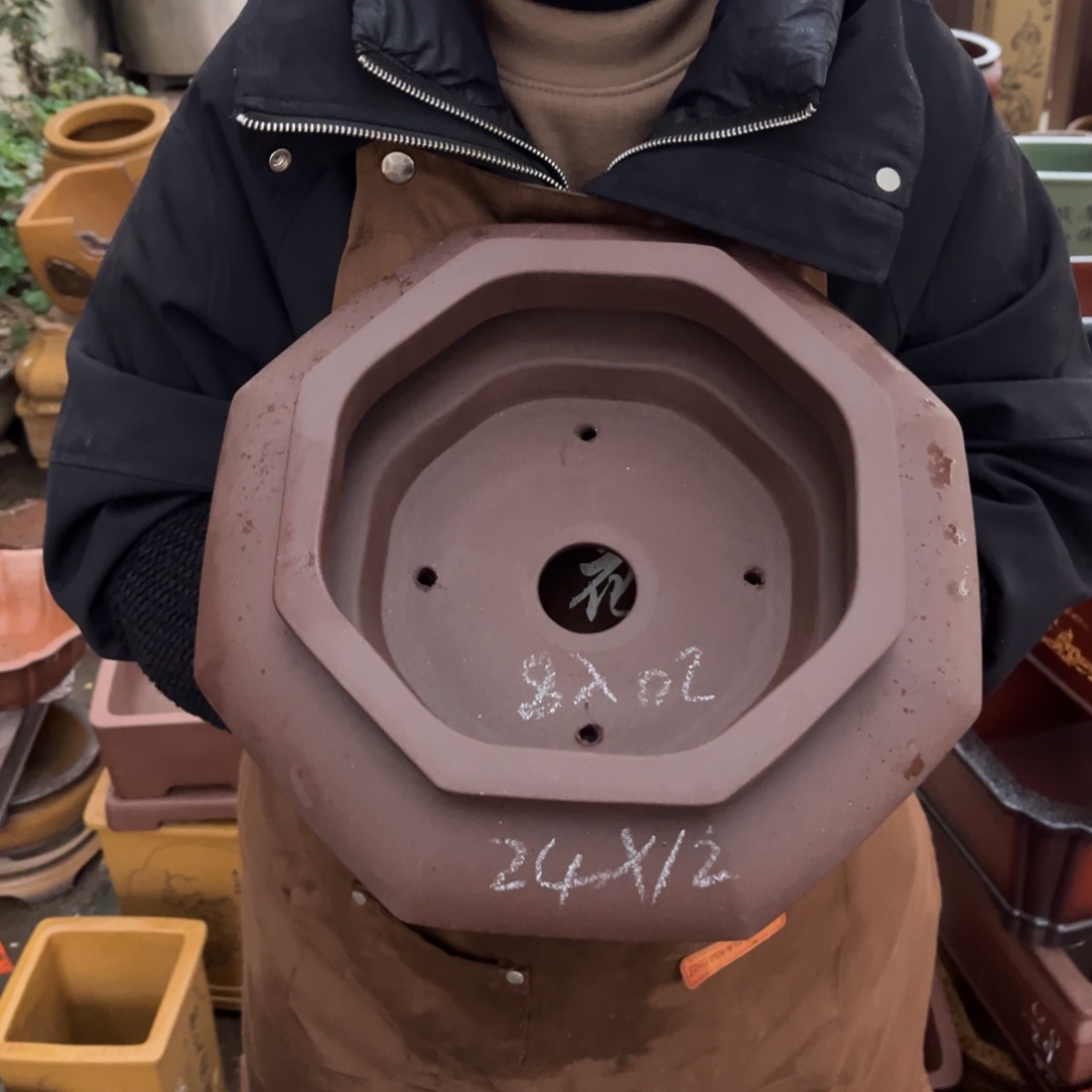 花盆紫砂盆景艺术