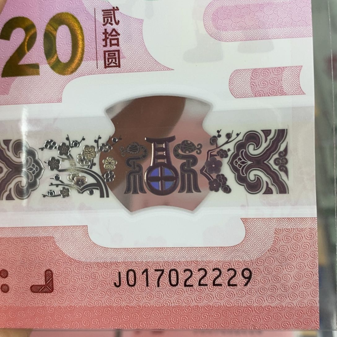 塑料229………………………………