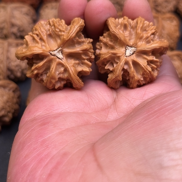 文玩核桃吊坠龙*少我想要