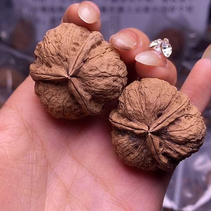 核桃云南野生铁核桃12号35mm