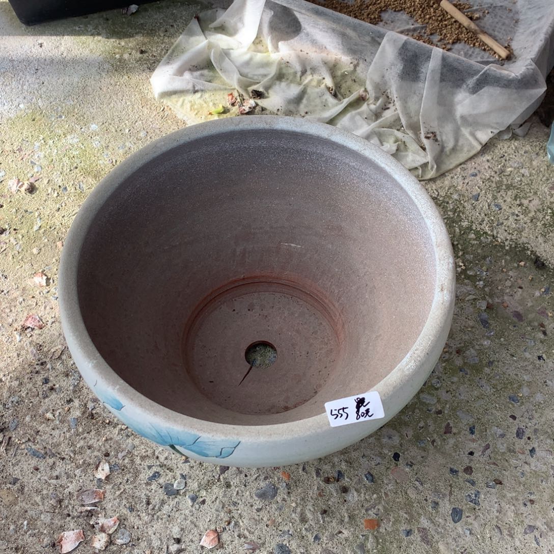 555一个盆80圆啦啦啦啦