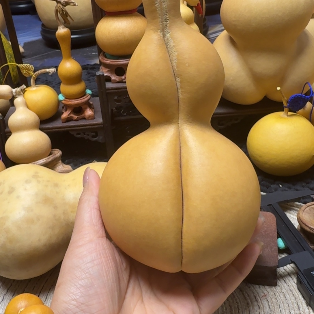 h***n异形一个嘎嘎漂亮