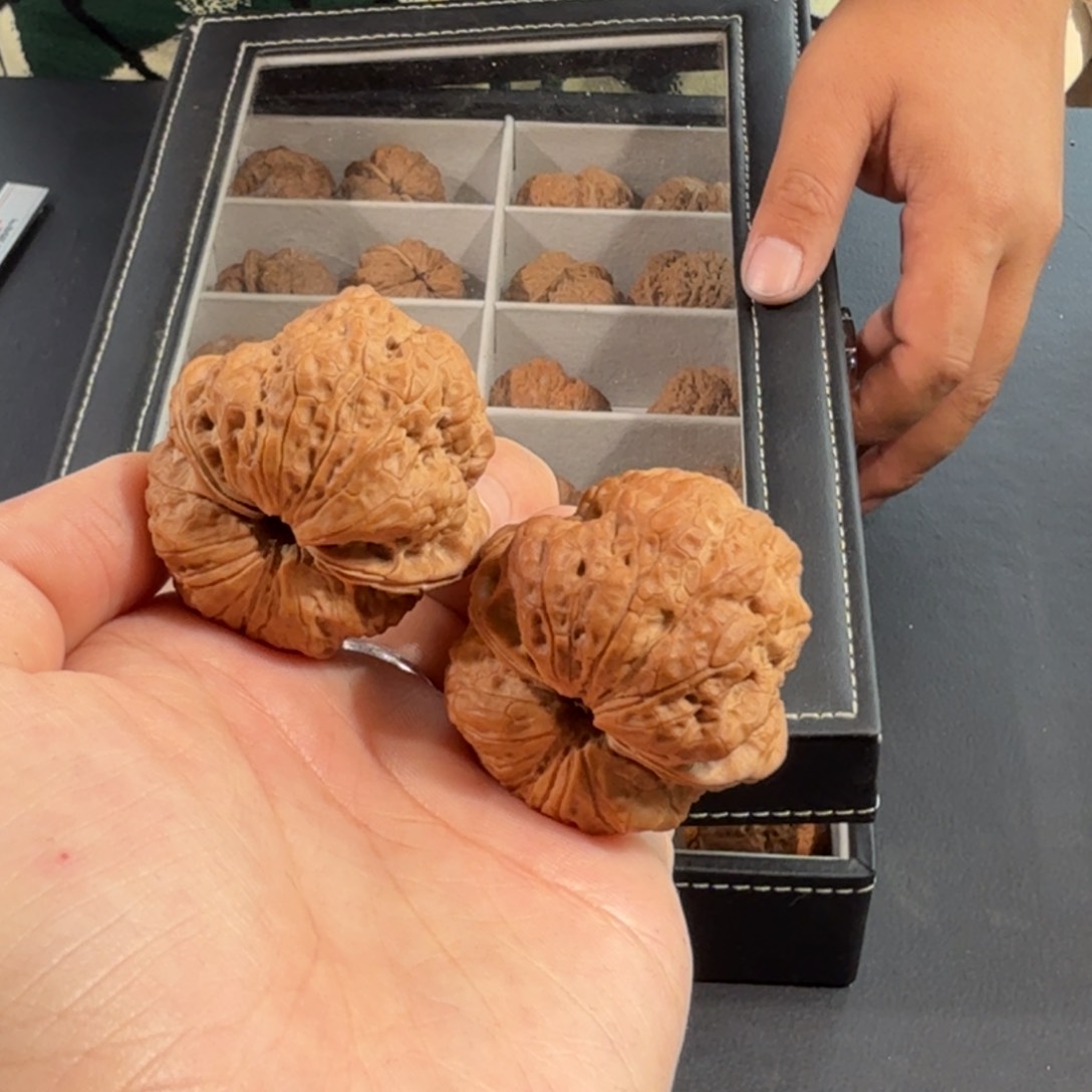 文玩核桃把件老张11号三角全品雪域蟾王