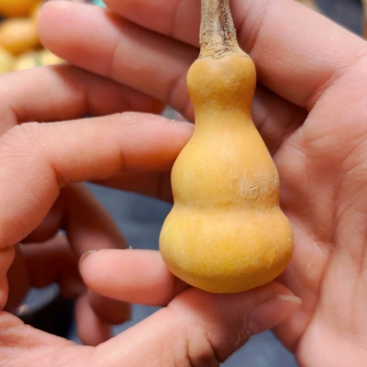 紫****斯8888888888888888888