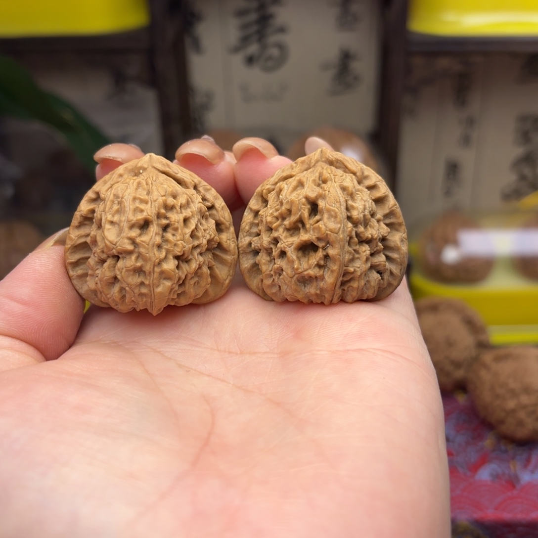 白狮子头三十五尺