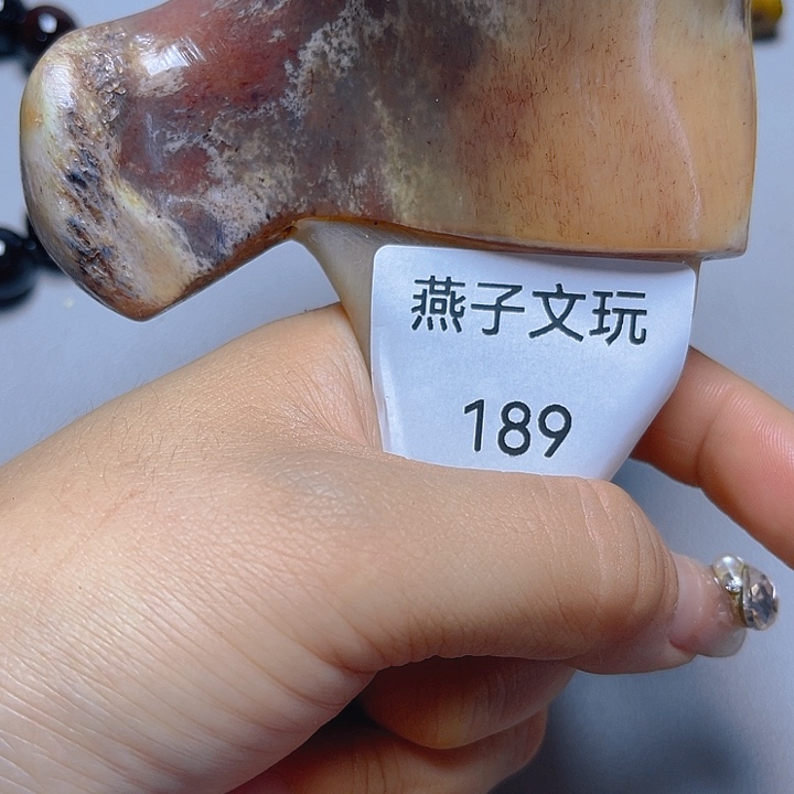 大果紫檀（缅甸花梨）