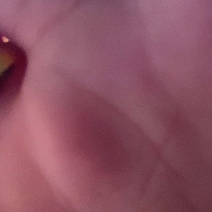 吊坠龙脊菩提主播包邮到家暖被窝