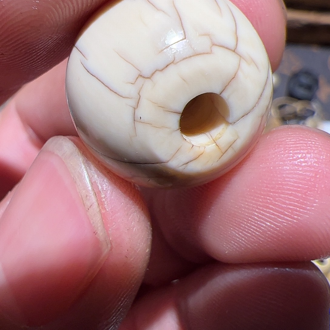 香榧木在这里的时候