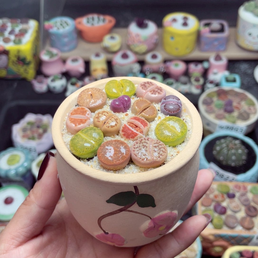 w9880 带盆土发货-零下地区拍保温箱