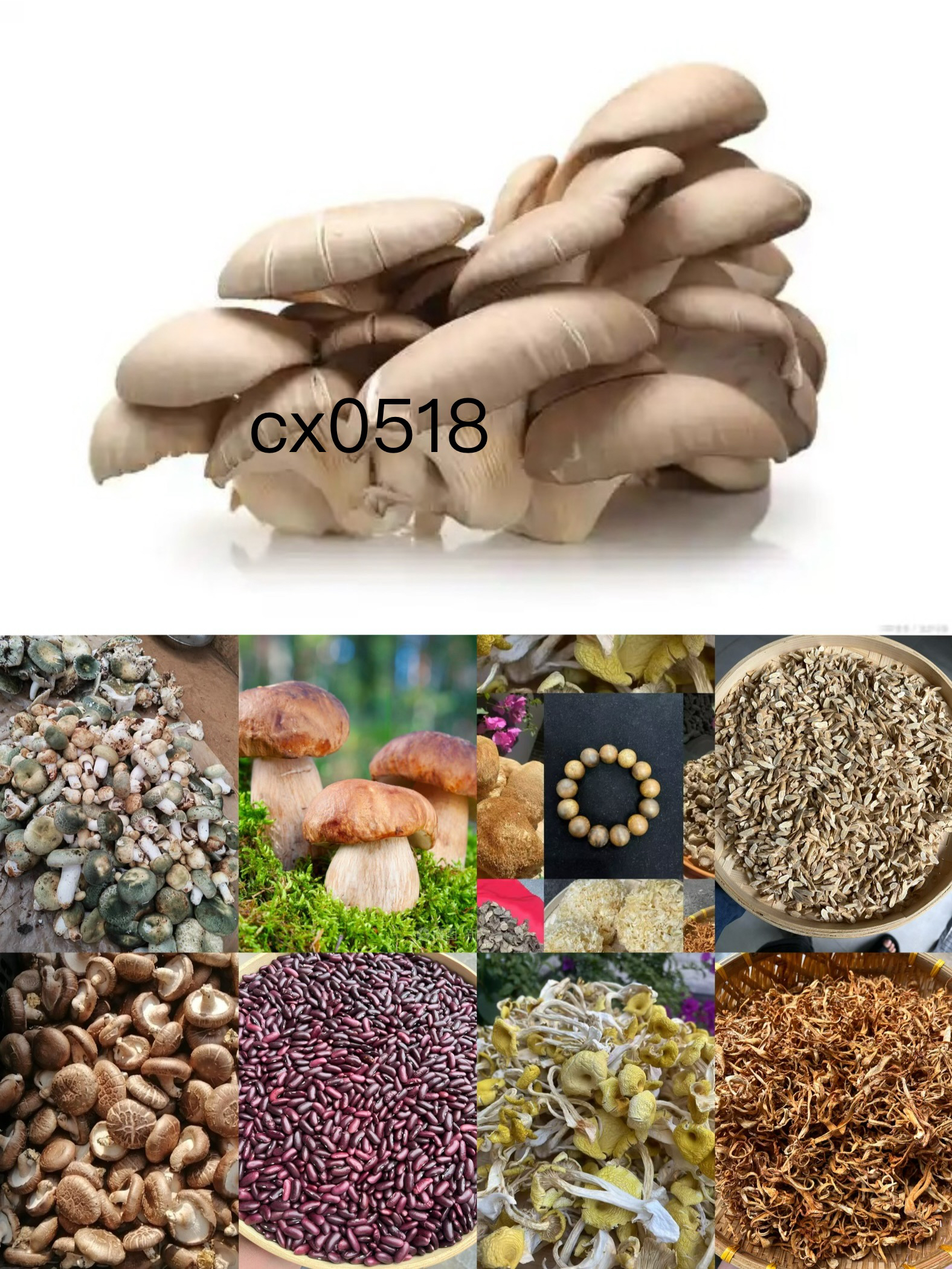 《阿浩专属土特产》CX0518{多样性发货}重量51g
