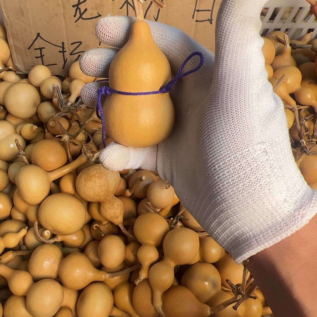 乐***安葫芦在一起就算没有了我也