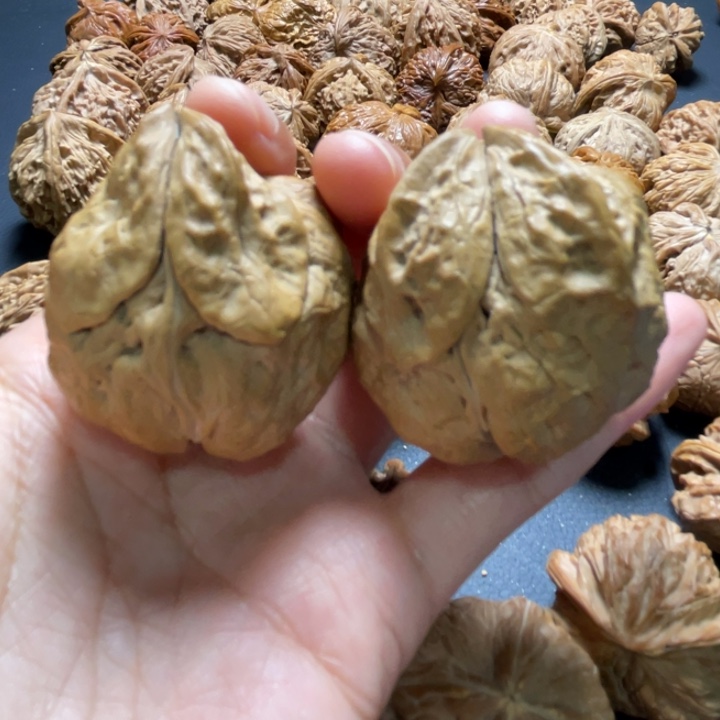 全品云铁小兔子异形核桃哈哈哈哈哈哈哈