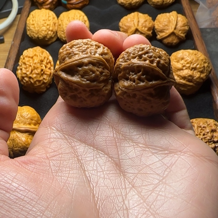 文玩核桃把件33尺生命