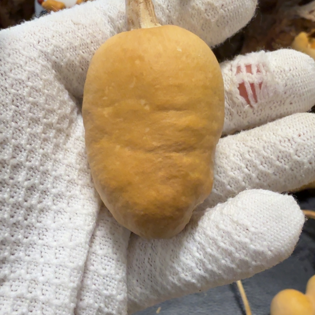 沐***沐666666666666667667777