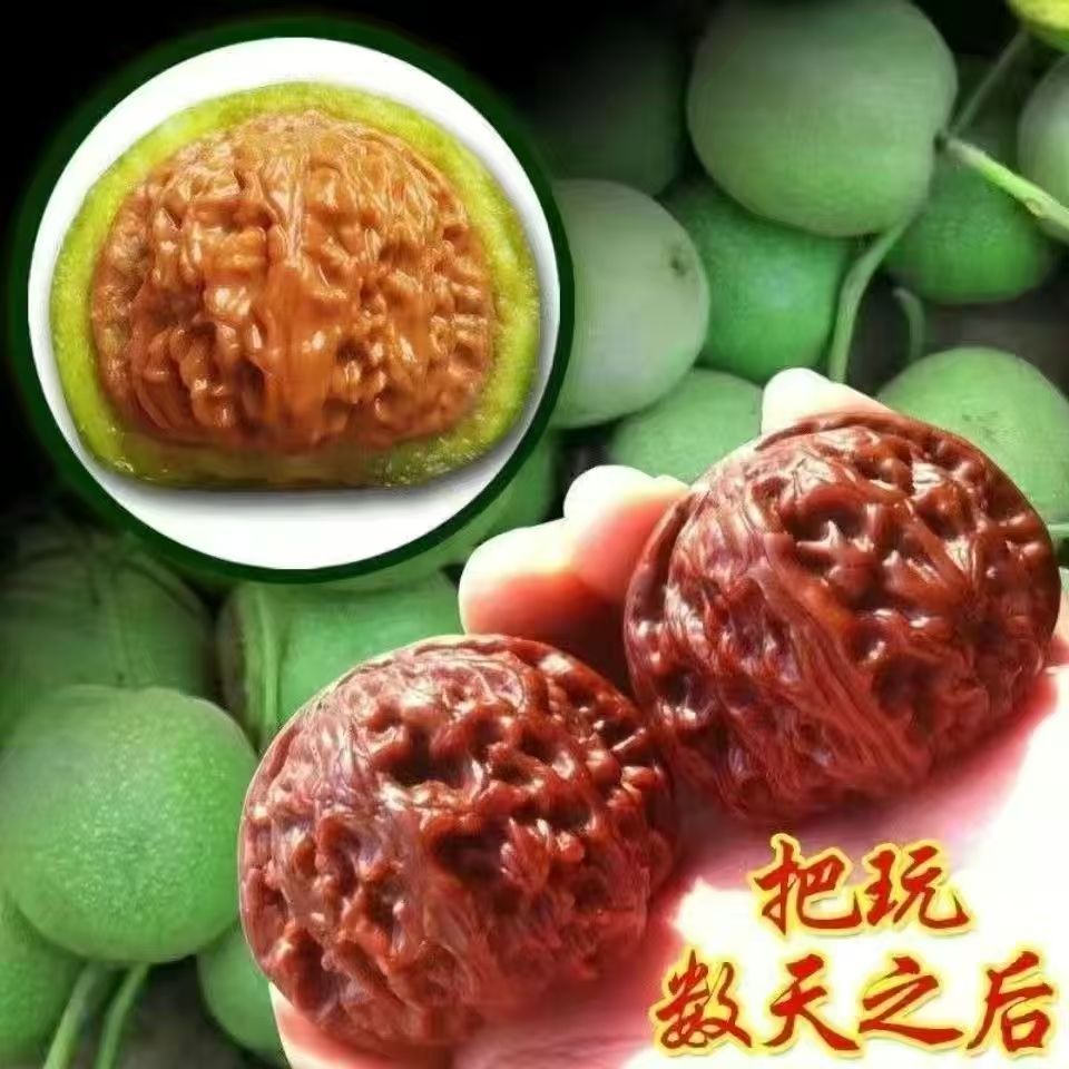 文玩青皮官帽狮子头 代开不退不换                   dongzi1763