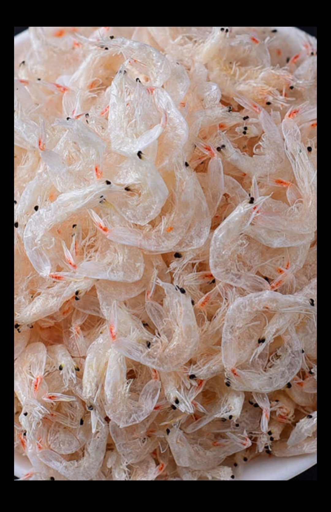 新上市新鲜淡干虾皮，富含 高钙，鳞，蛋白质等