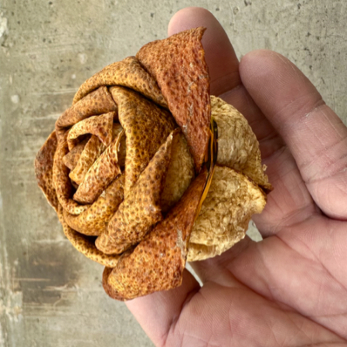 新会陈皮2023年三江深吕玫瑰花干泡茶手工折花圈枝陈化特产