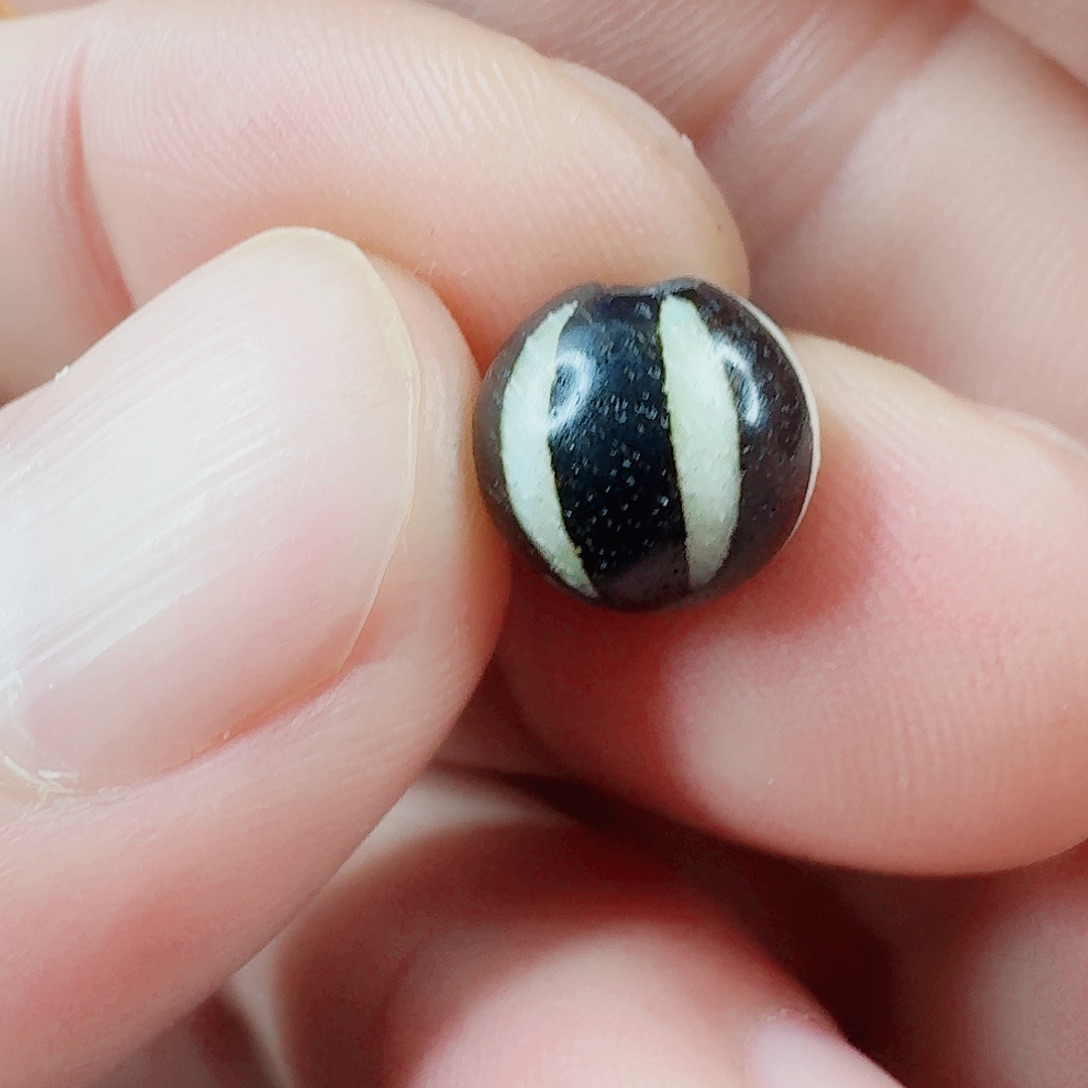 大叶紫檀（黑酸枝木类）