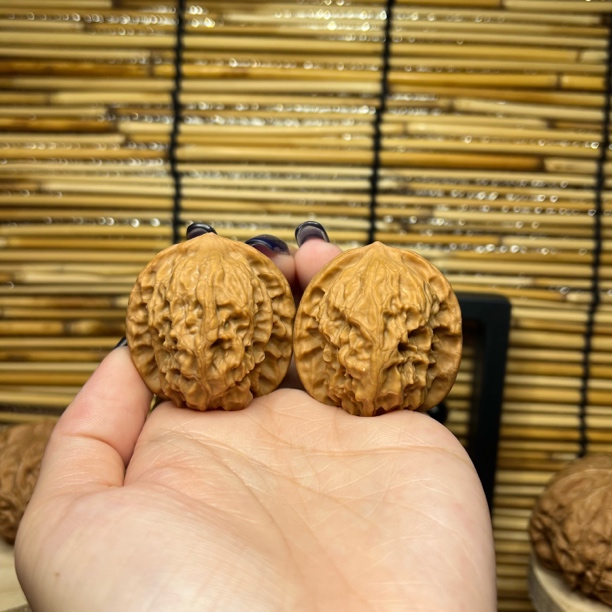 小众野狼蜡皮38/38/38.5 