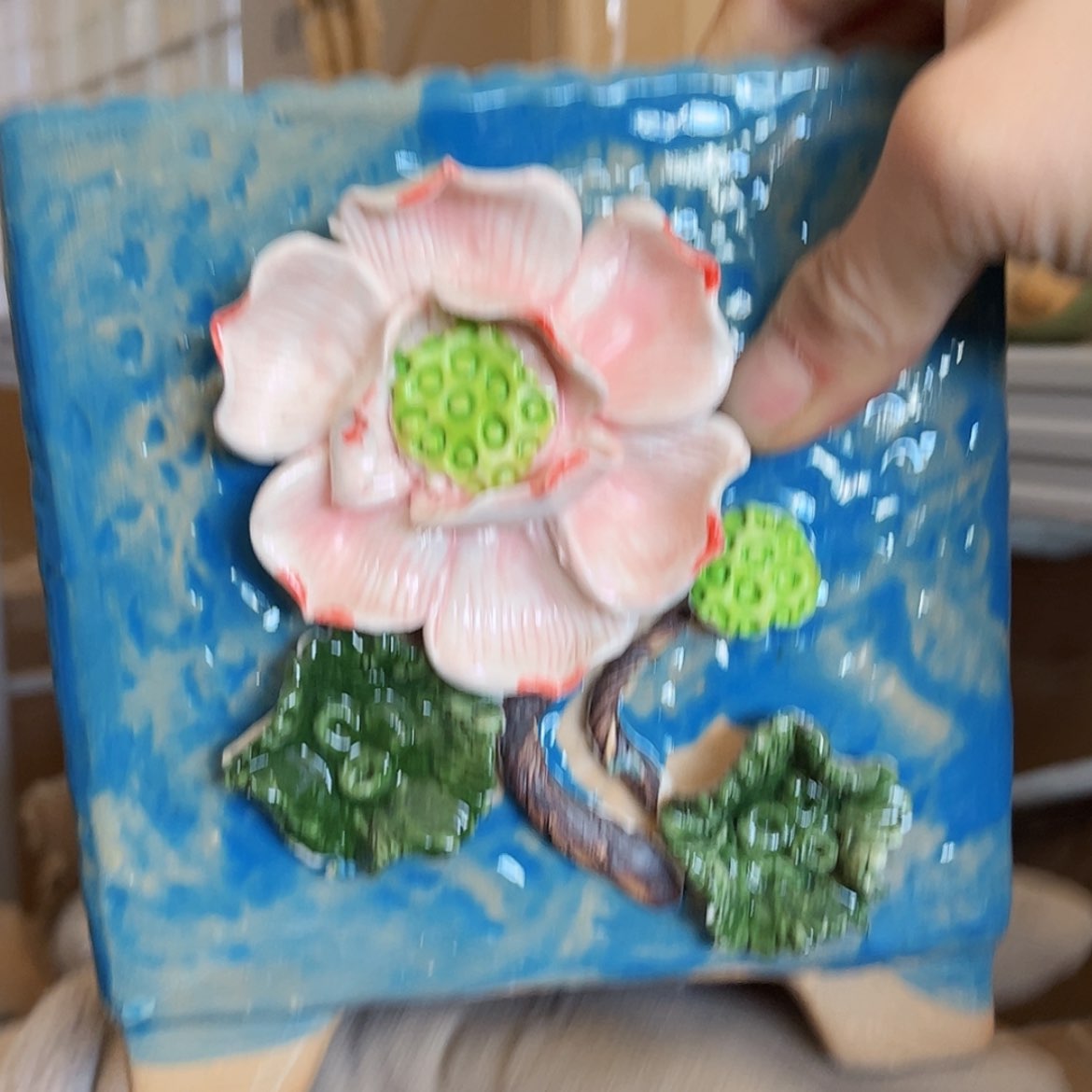 【闪购商品】红陶福利