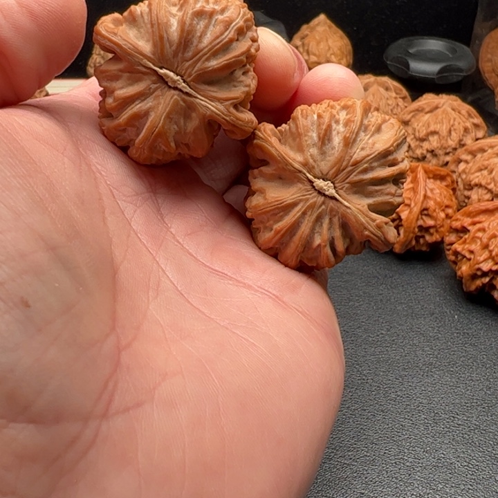 把件文玩核桃叶*37小白狮