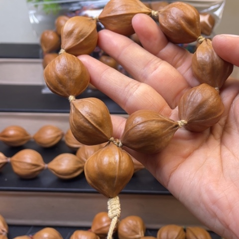 橄榄核手串/手链橄榄核200