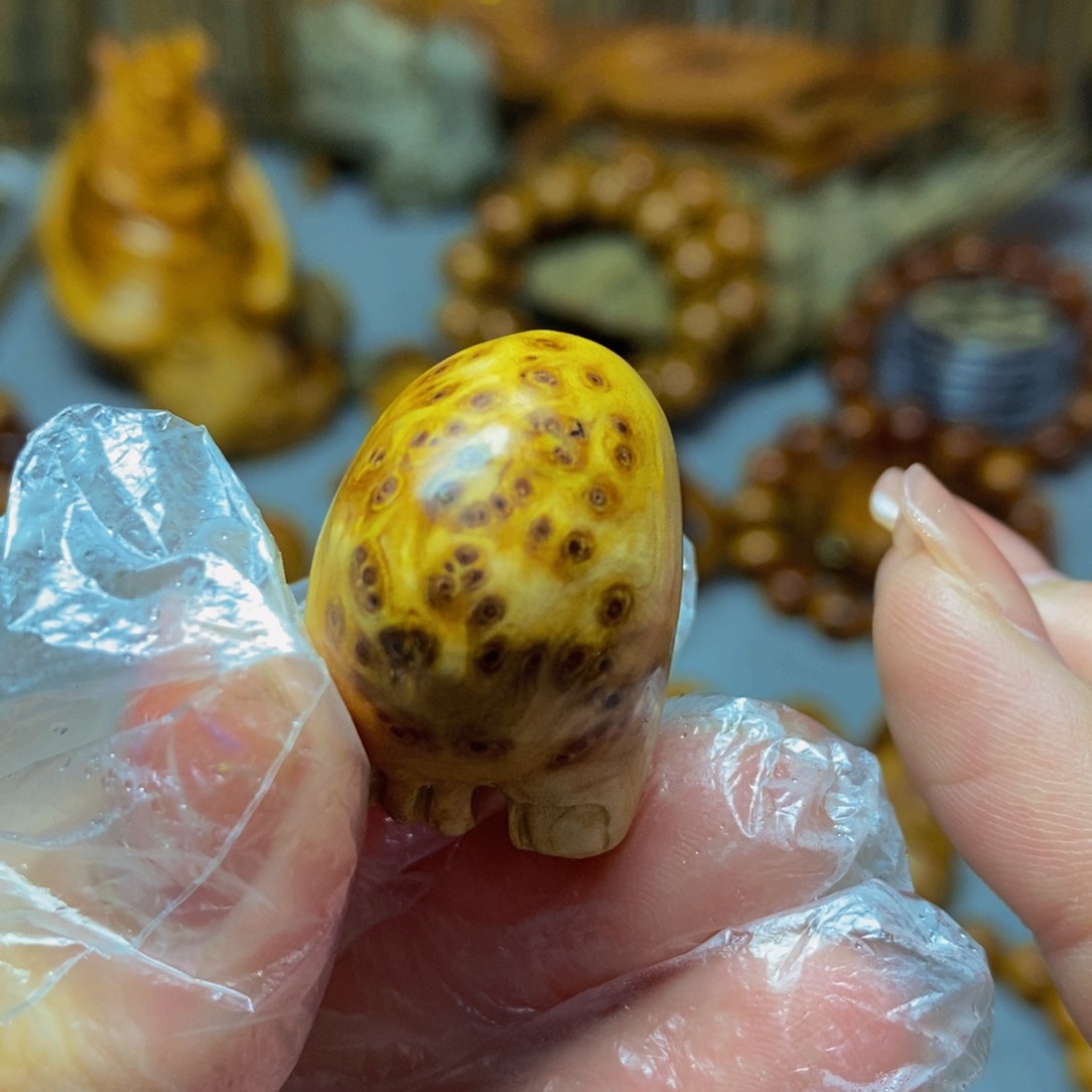 柏木（崖柏）太行崖柏