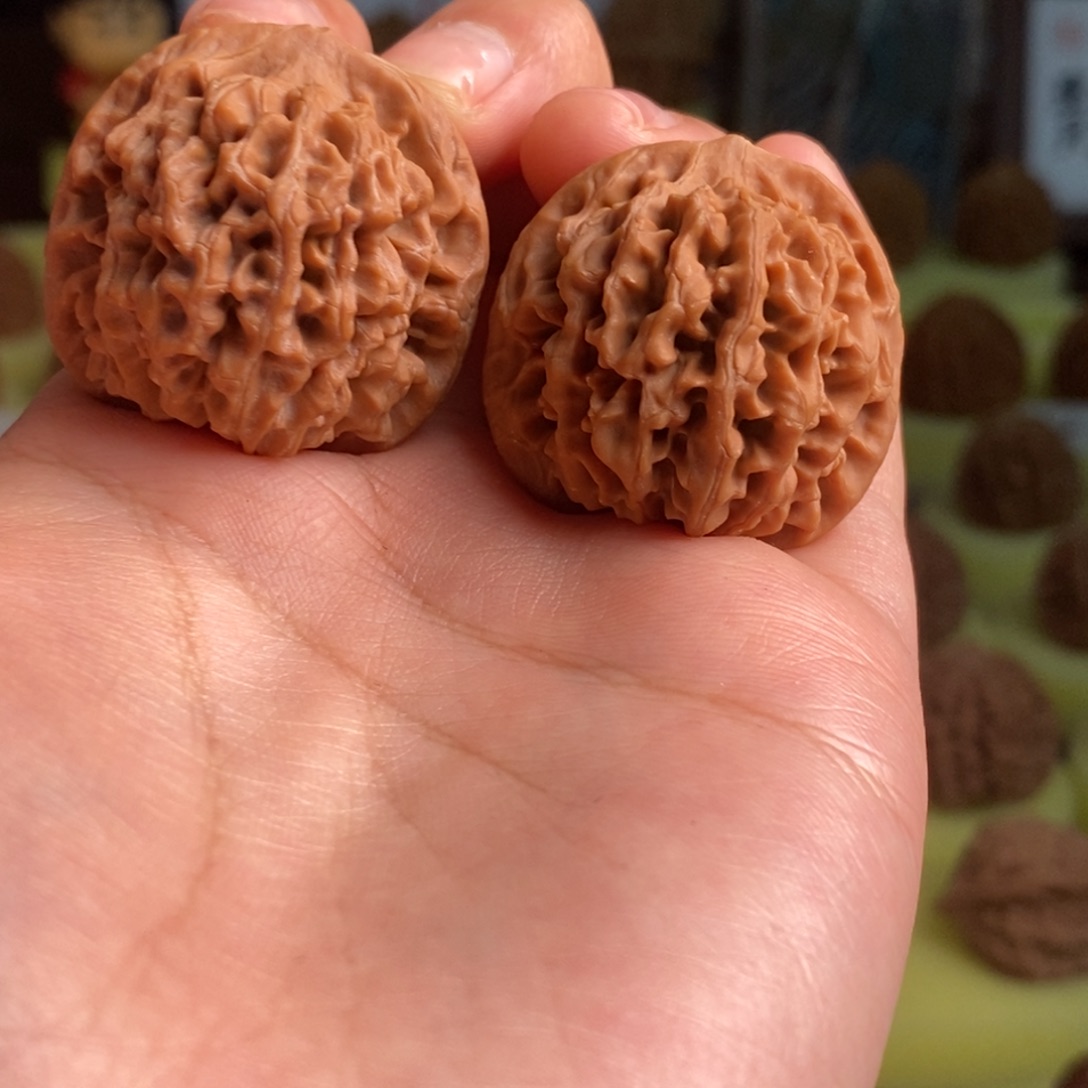 核桃秦岭闷尖狮子头32