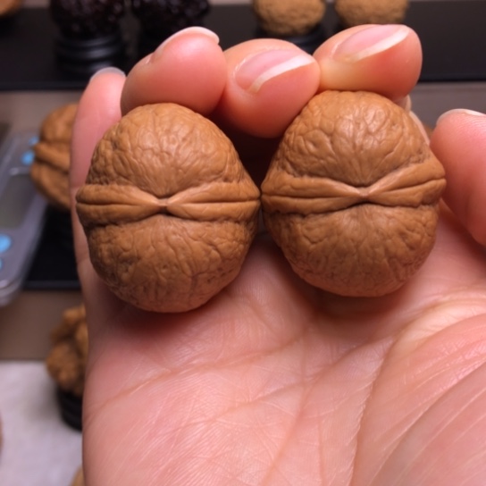 文玩核桃把件仙鹤顶23