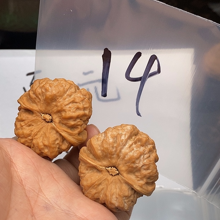 吊坠文玩核桃W3663886638396683