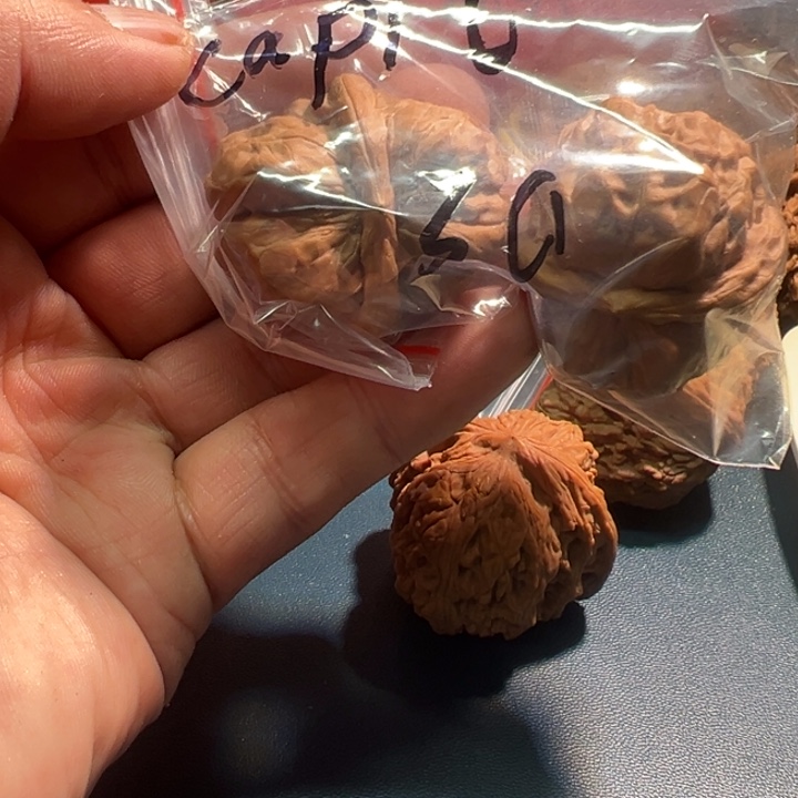 C***t核桃蛤蟆头文玩核桃