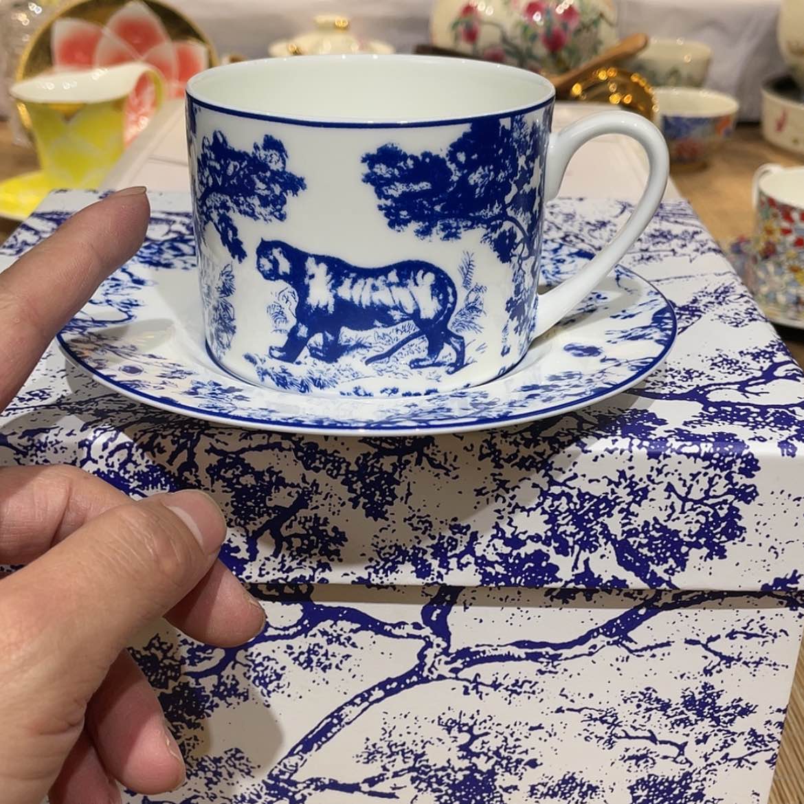 【闪购商品】明天开始加油加油再加油