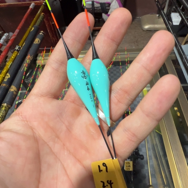 T01的0.2.号各一只，600长鲤鱼电子漂