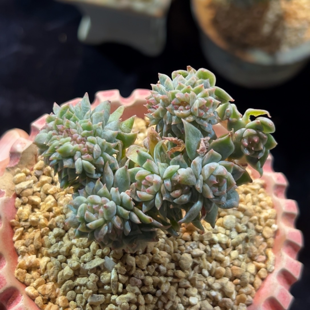 新年快乐 新年快乐