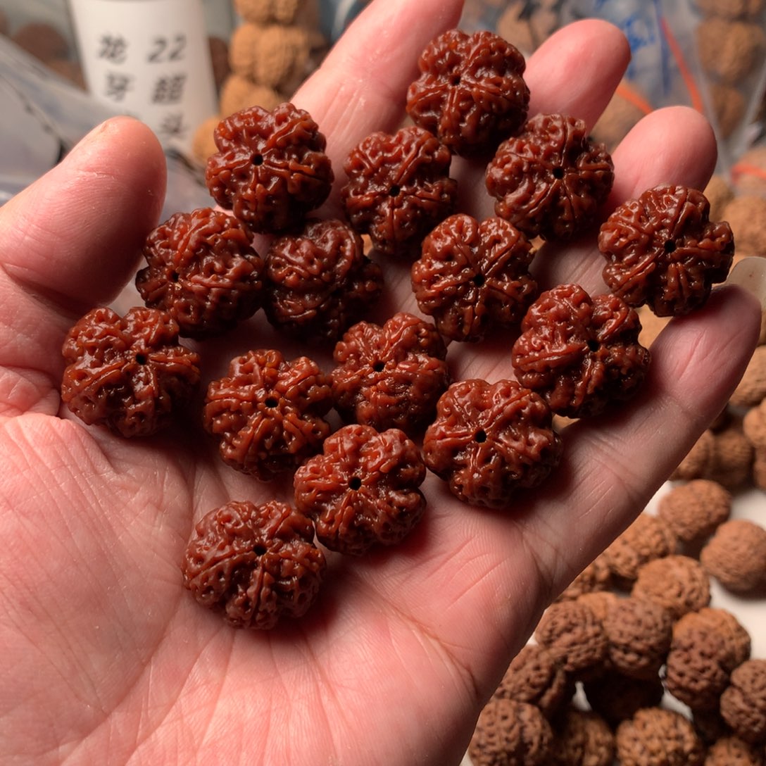 金刚菩提手串20龙爪梅花超头