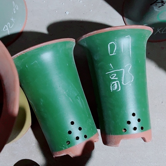 红陶紫砂这种紫砂